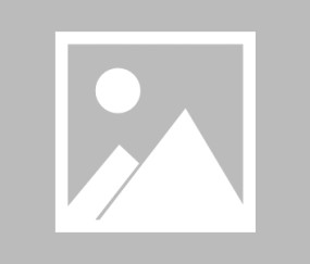 湖南师范大学录取分数线