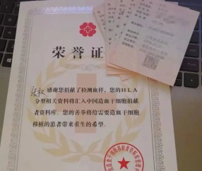 吉林大学毕业证补办流程