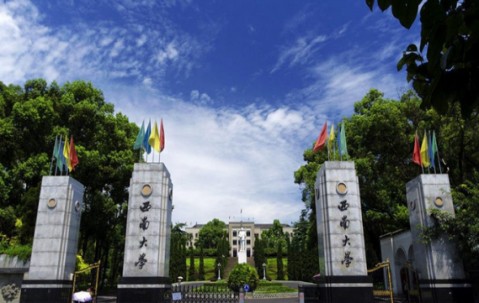 西南大学2024录取分数线