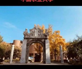 中国农业大学烟台研究院