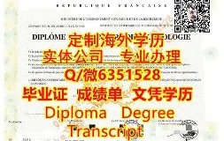 新疆大学的文凭内地认可吗