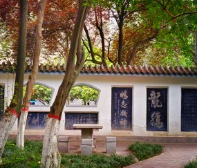 陕西师范大学教务处