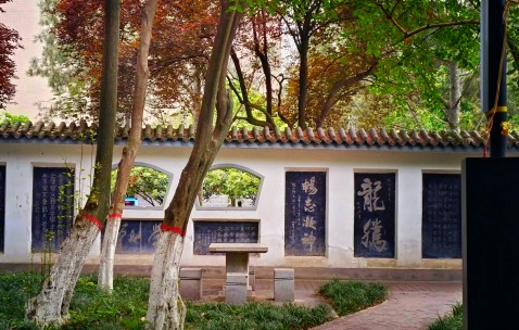 陕西师范大学教务处
