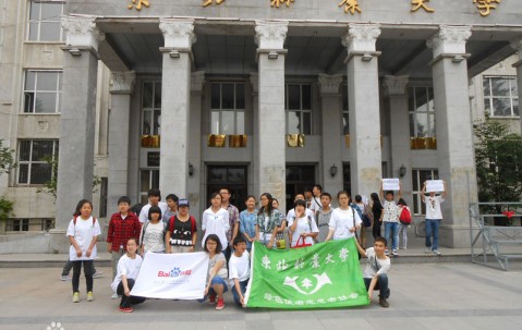 东北林业大学毕业证图片