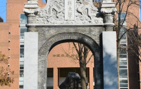东北农业大学毕业证