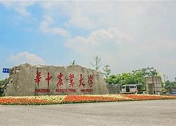在华中农业大学就读是什么体验
