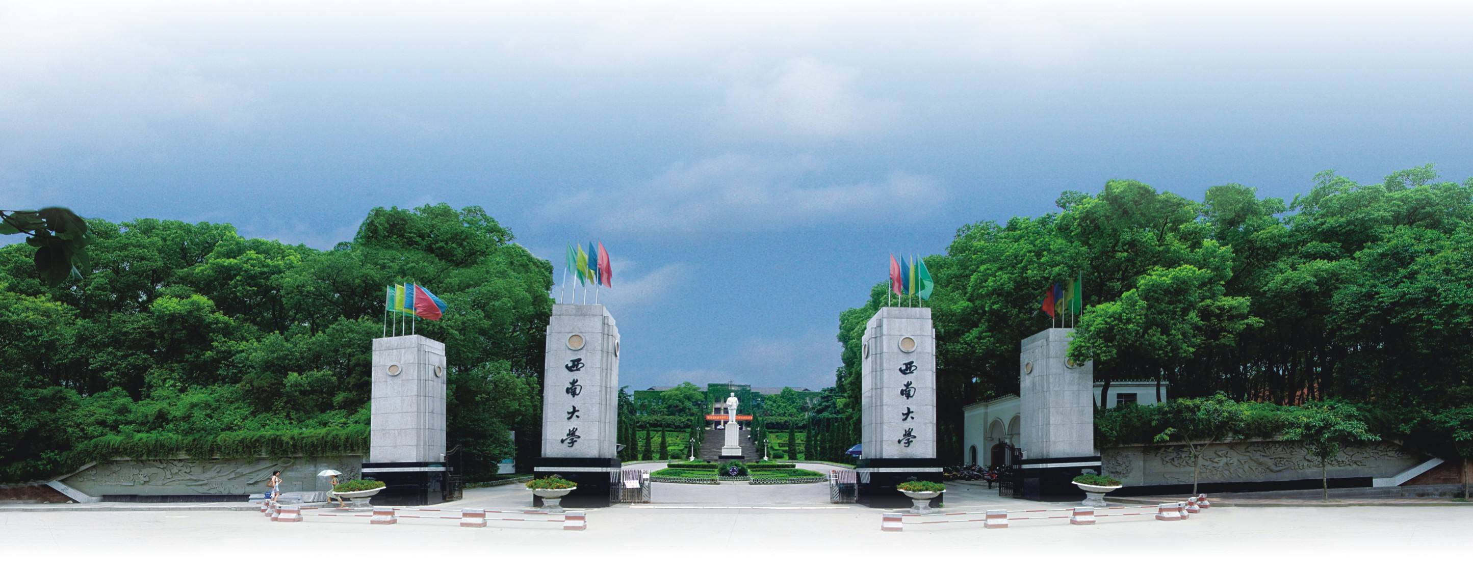 西南大学毕业证补办
