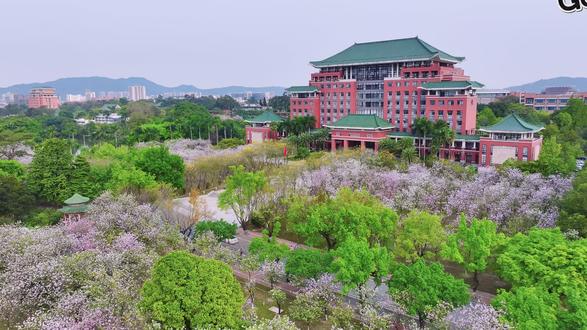 华南农业大学是211吗