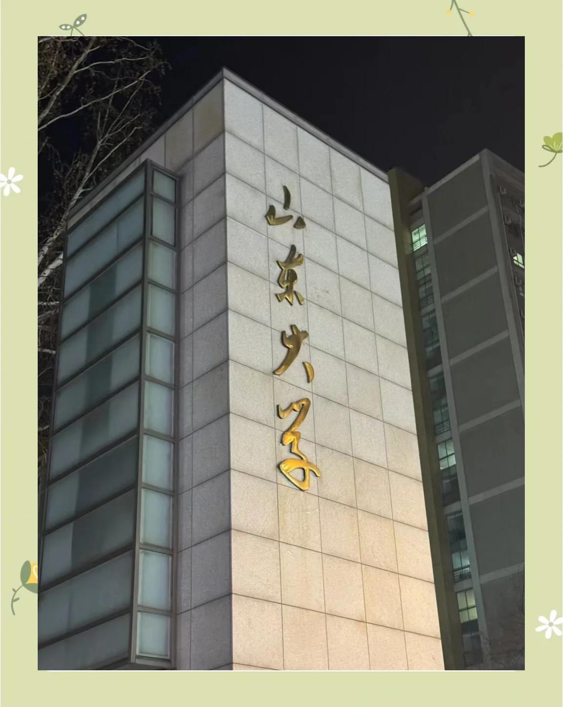 山东大学官网