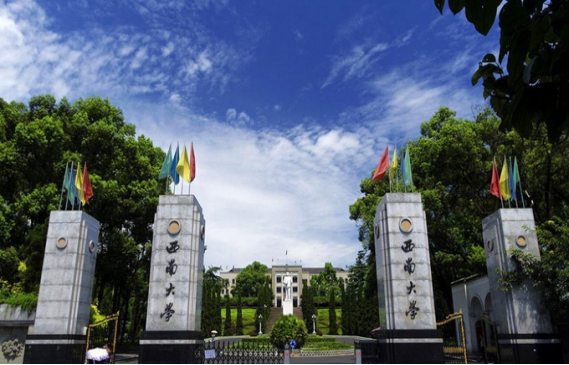西南大学2024录取分数线