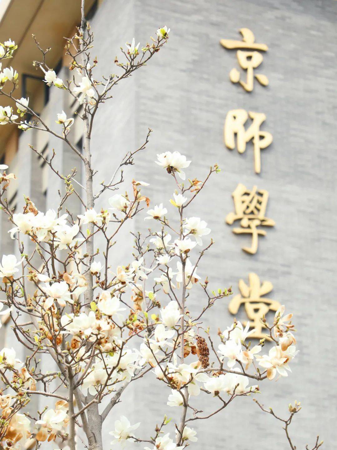 北京师范大学香港浸会联合国际学院