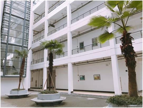 东华大学学位证书要求