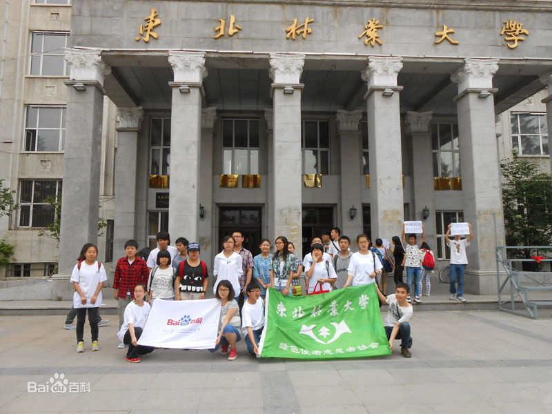 东北林业大学毕业证图片
