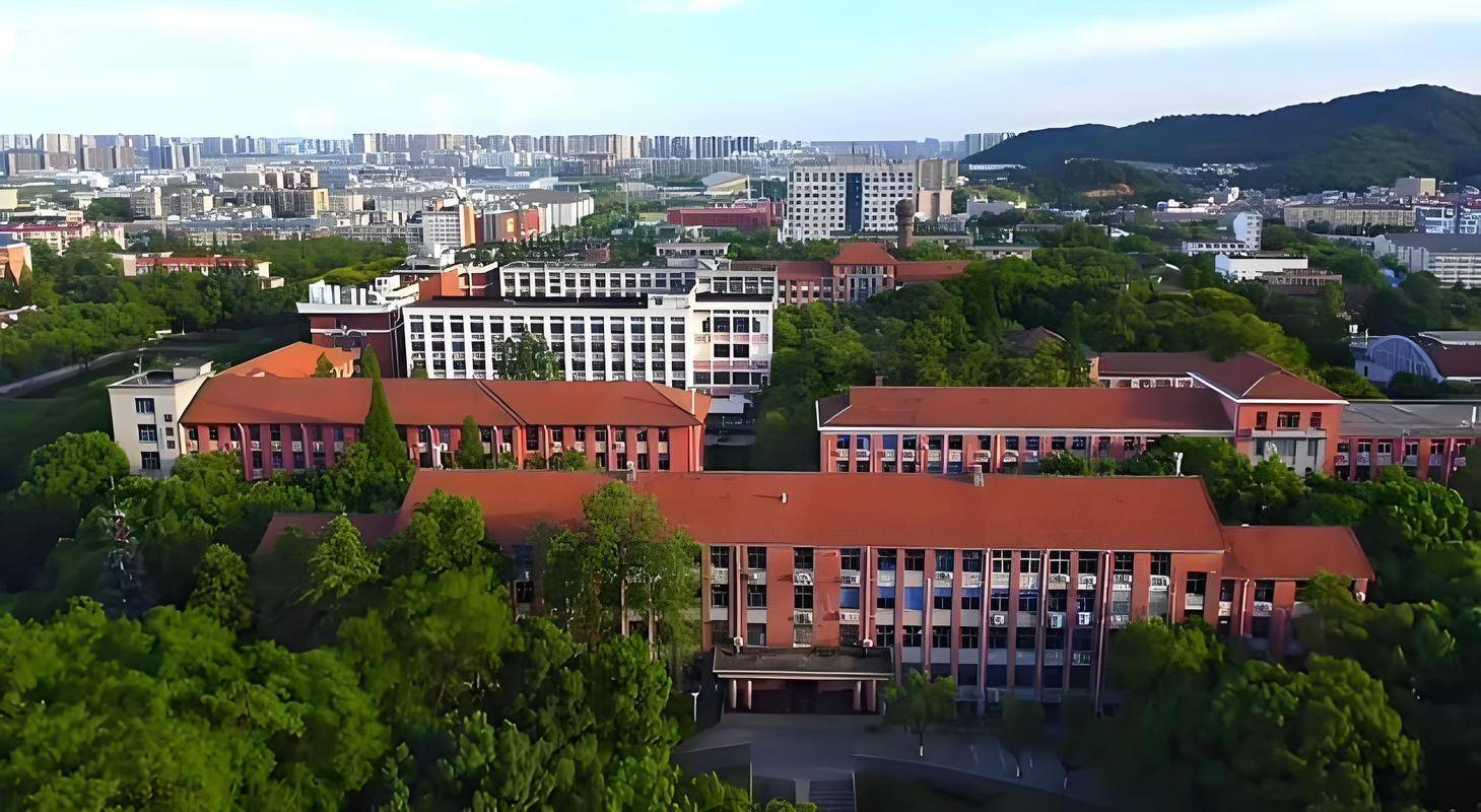 湖南大学个人门户