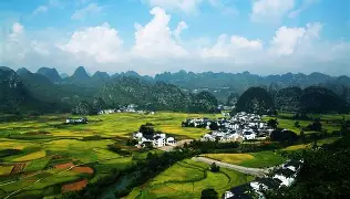 贵州大学的毕业证是什么样子的