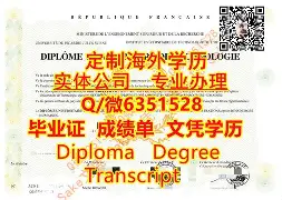 新疆大学的文凭内地认可吗
