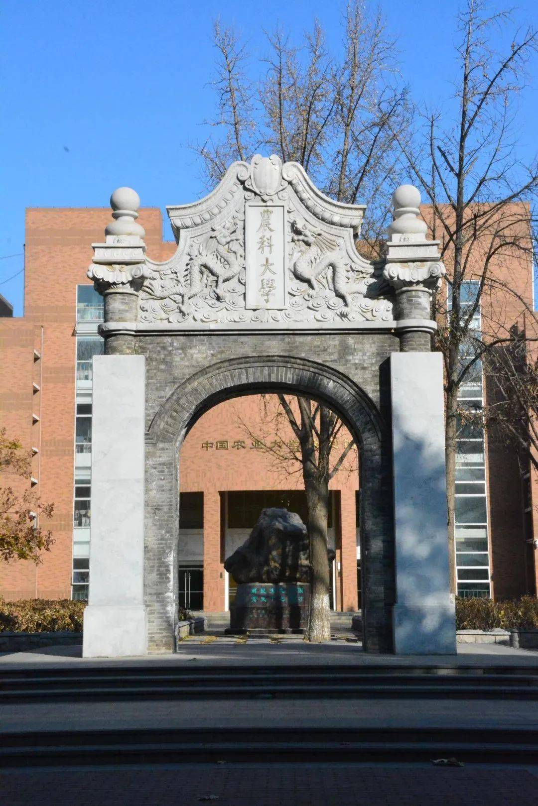 东北农业大学毕业证