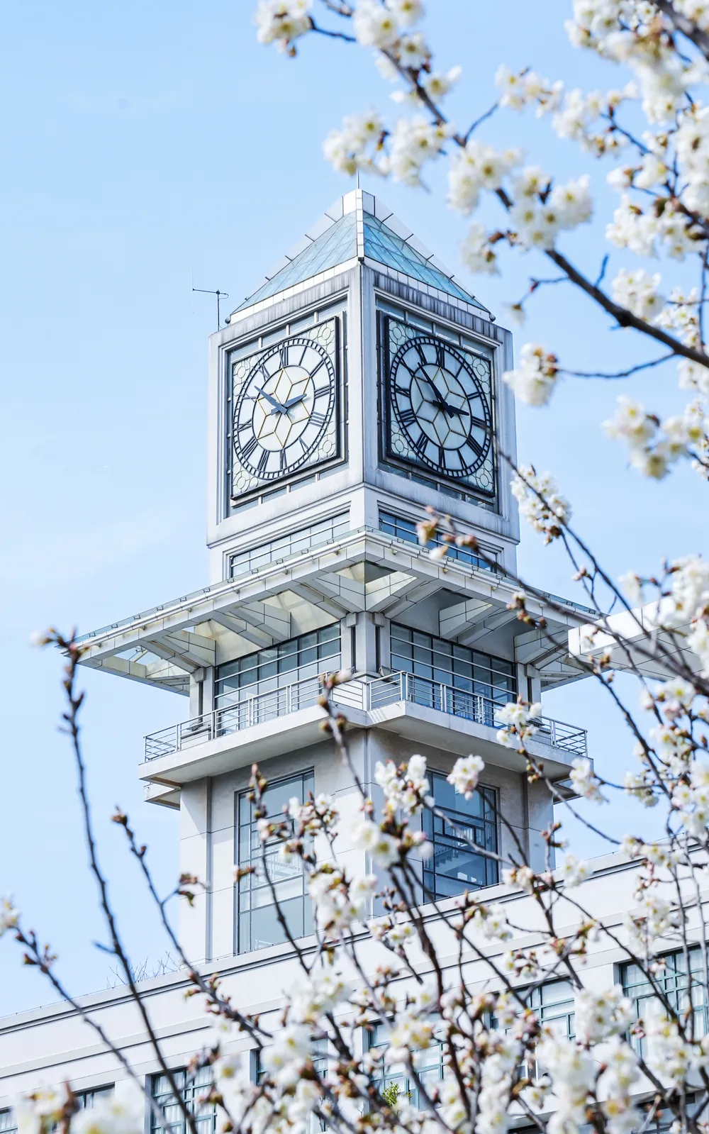 中南财经政法大学2025录取分数线